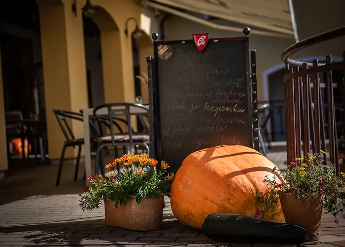 Resort-Restaurant Stilec Kamenny Ujezd (Ceske Budejovice)